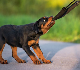 ThinkstockPhotos-598825618.jpg