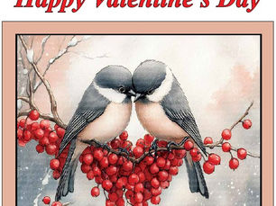 Lions Pride - February