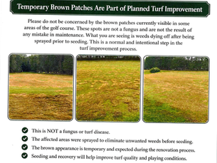 Course Update - Turf Improvement