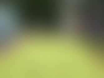 Join the Recreation Committee!