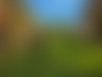 LHCC Members Meeting