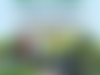 Join us for some Spring Cleaning