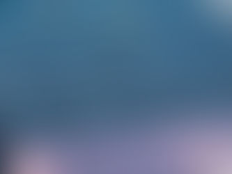 Bocce/Shuffleboard Updates from the Recreation Committee