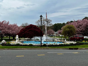 03-20-2026 SPECIAL ROBO CALL: STREET PAVING