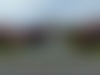 03-20-2026 SPECIAL ROBO CALL: STREET PAVING