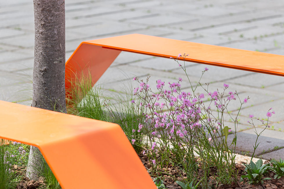 양천구 매력정원 'Orange Garden'