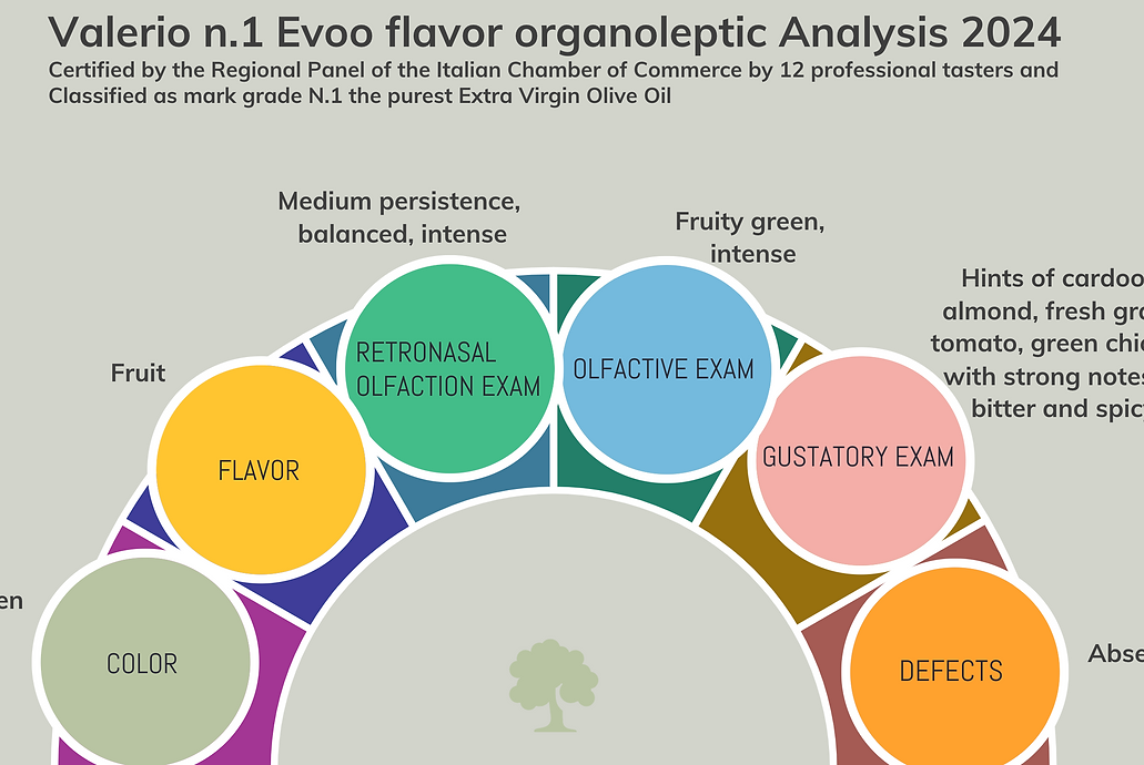 Screenshot 2024-11-21 alle 22:31:04.png