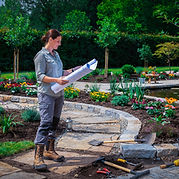 Teilzeit Rootroll.jpg