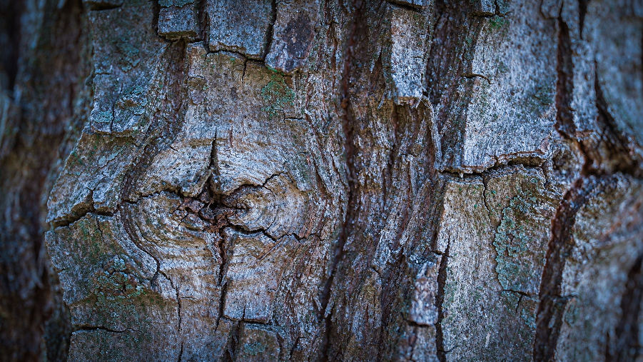 Kontakt Rootroll Header.jpg