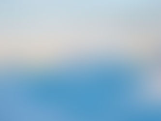 What Is Davos Worth?