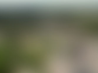 Costain Group – Creating A Sustainable Future Is Good Business For £245m Valued Group With £169m Cash In The Bank