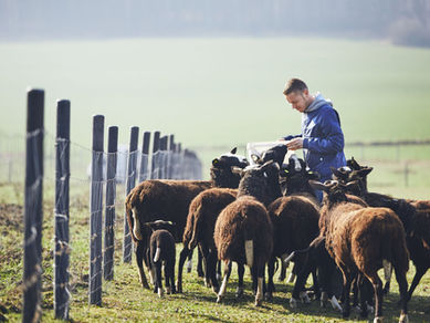 Fevara – continuing its corporate progress, while Brazil looks good, shares 133p, TP 160p