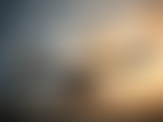 „Entweder dumm oder loyal“ – Das falsche Dilemma als Denkfehler der geistigen Selbstverarmung