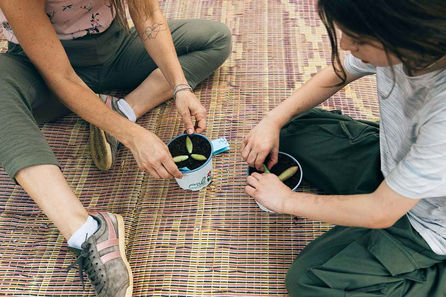 שתילת שתילים בגינת מרפא טיפולית