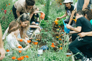 מתנדבים משקים גינה יפה