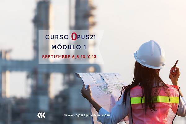 Software Opus Opus Puebla Cursos Opus
