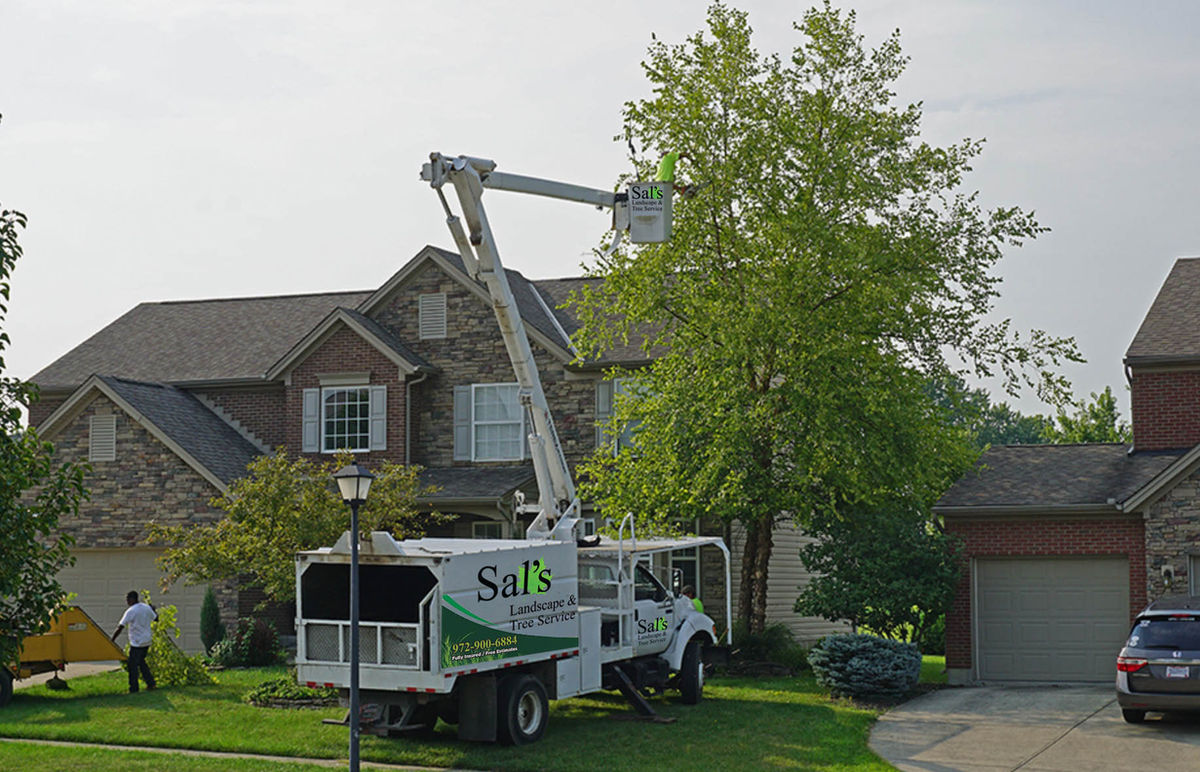Sal's Treescape Service Inc