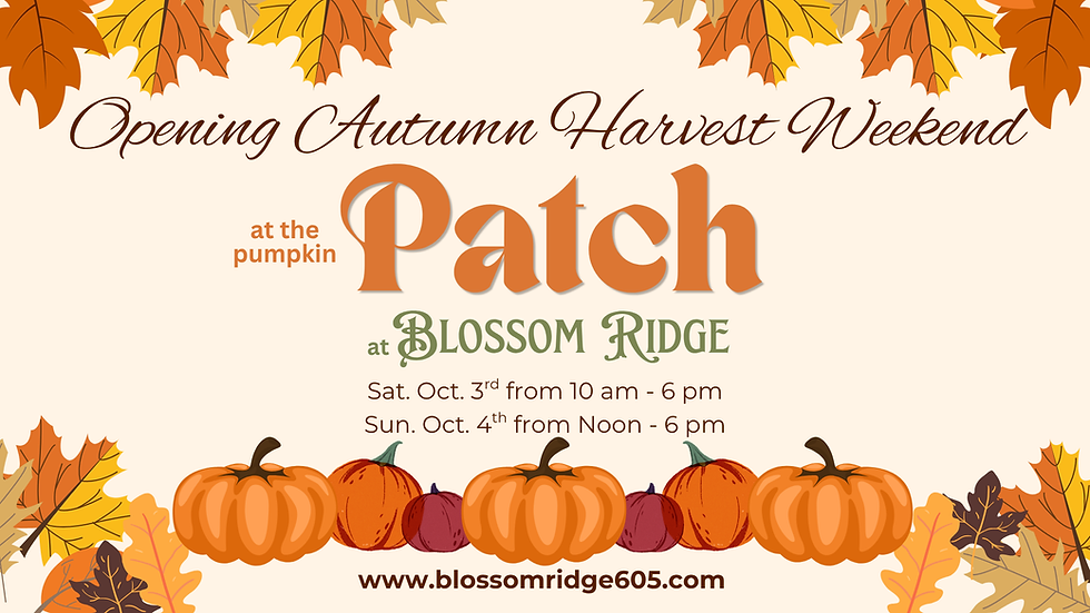 Autumn Harvest Weekend