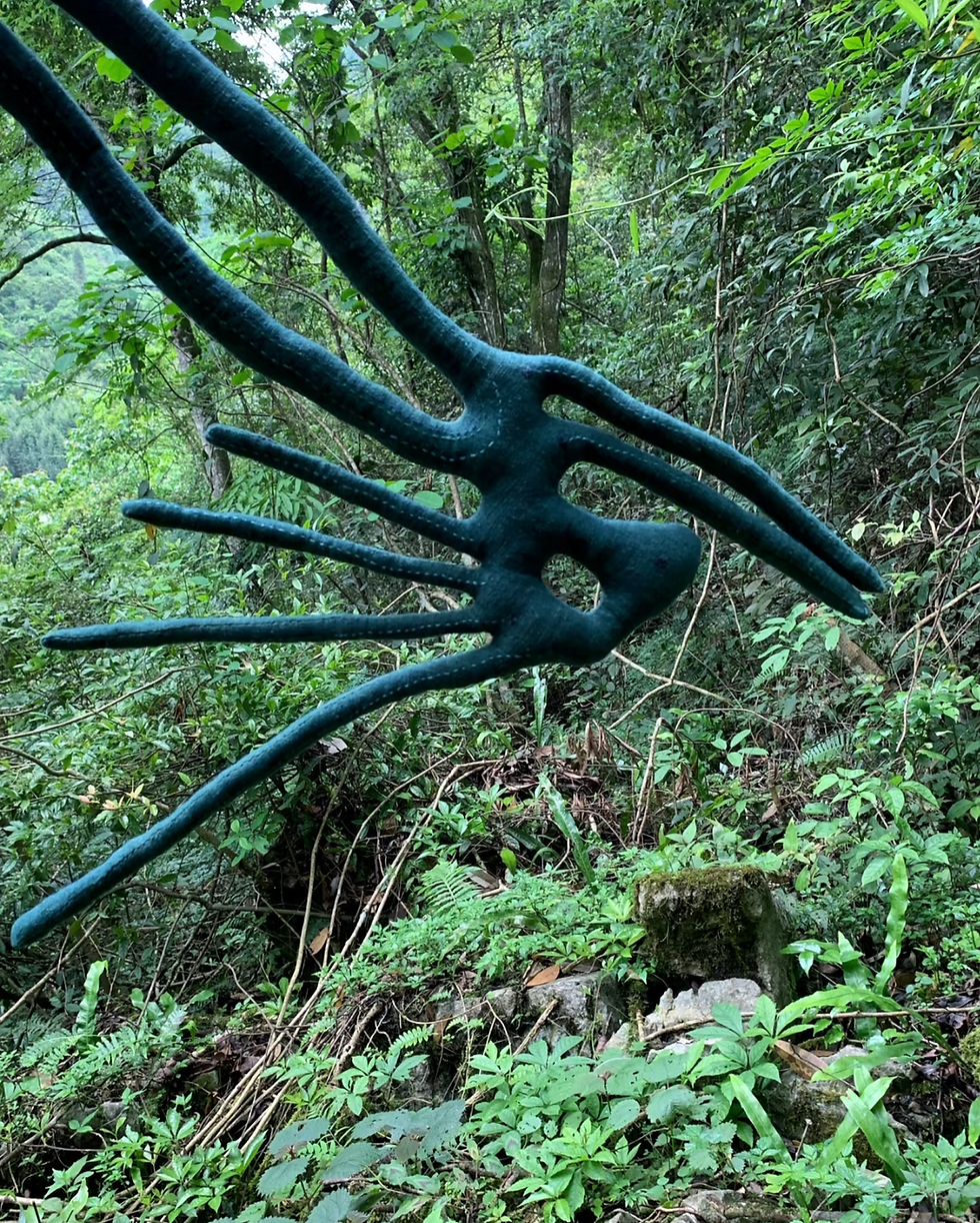 The difference between Plant Dye and Chemical Dye