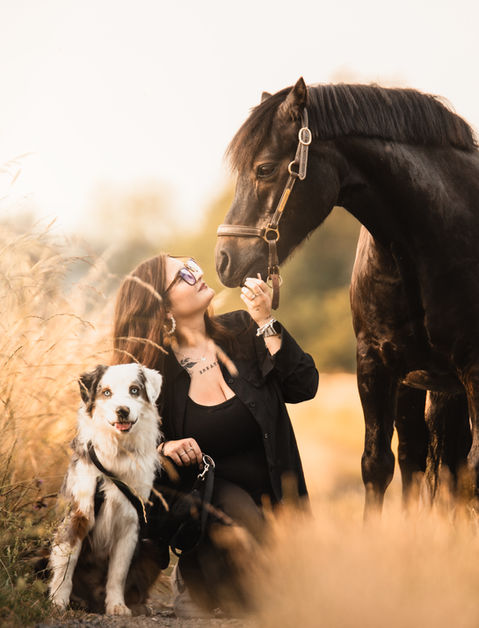 Emotionale Tierfotografie im Westerwald – innige Verbindung zwischen Mensch, Pferd und Hund