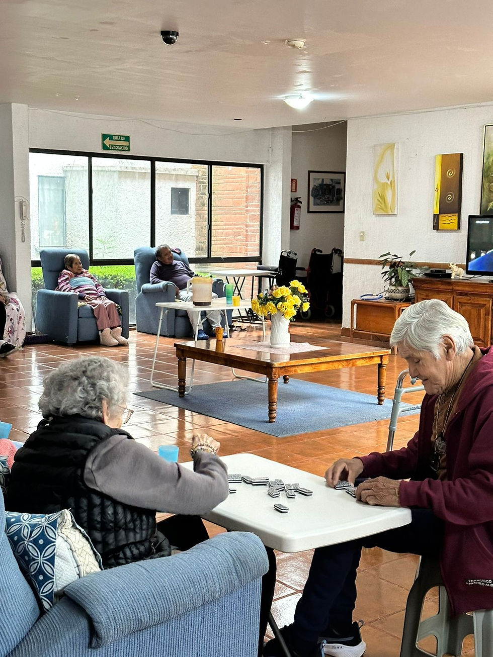 Eye-level view of a cozy living room with comfortable chairs and natural light