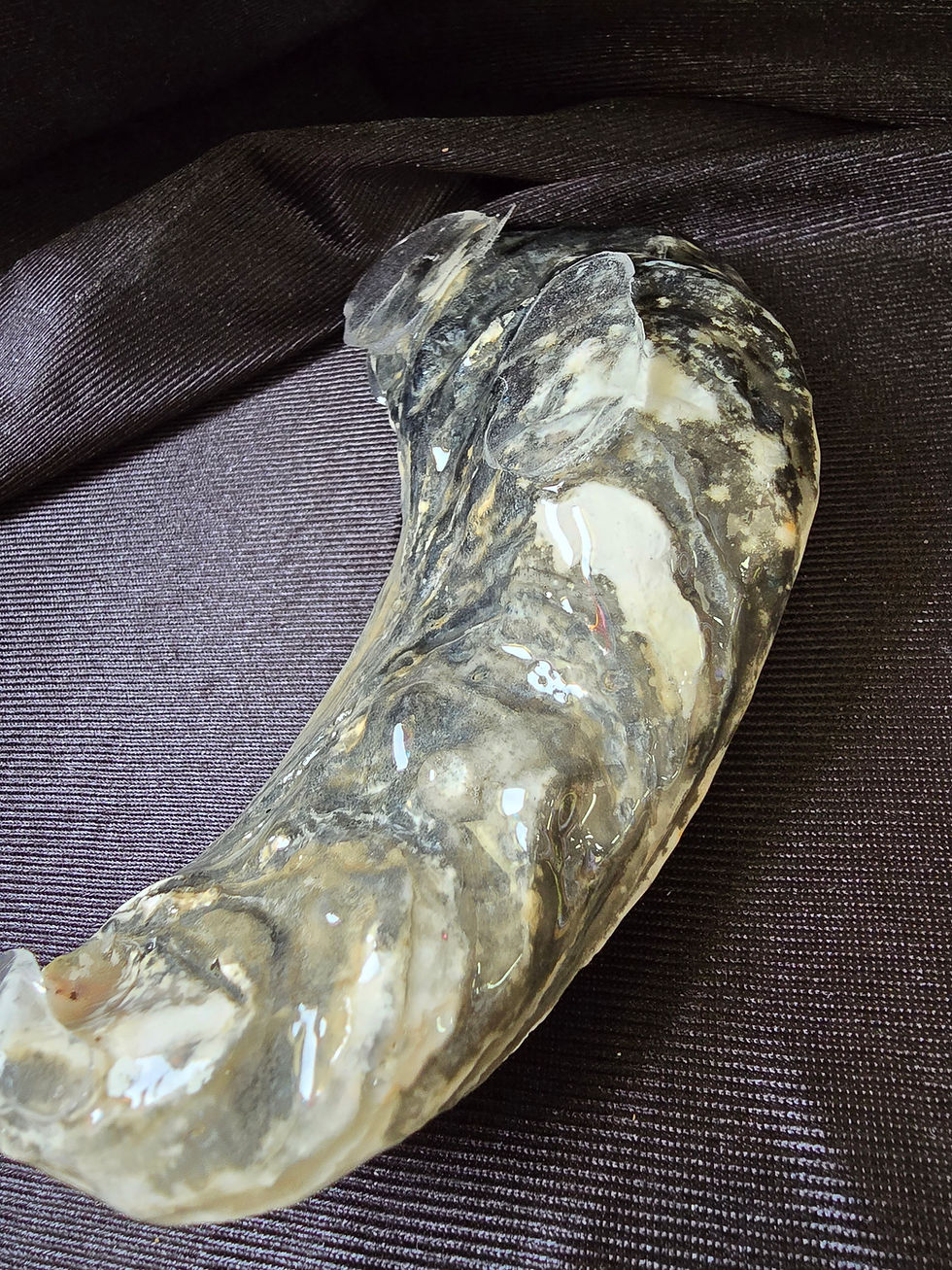 Thumbnail: Blue Resin shell w/ small shells