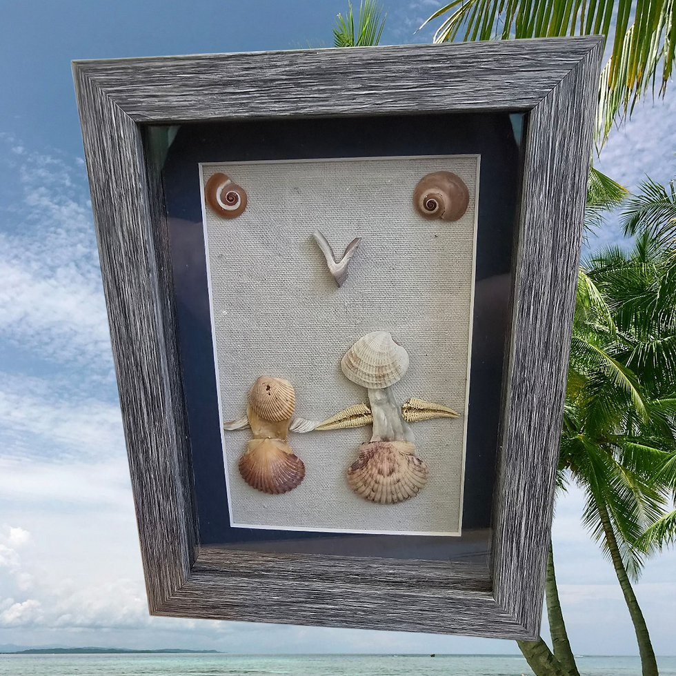 6x8 Shadow Box Frame with Shells