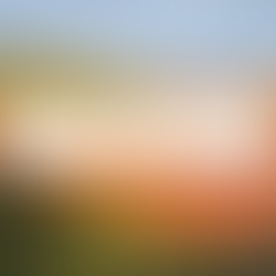 Magnus Lindblom grew up in southern Sweden close to nature and has always found inspiration in the landscape and birds that often appear in his art. After studying computer science, he worked as an engineer in Stockholm, where he developed an interest in Chinese calligraphy and studied in Hangzhou, China. Following burnout in 2004, he turned to painting, specializing in watercolour and printmaking. Magnus has exhibited across Europe, including Venice and Matera, and explores new ways of painting inspired by Creative Visionary Program by Nicholas Wilton.