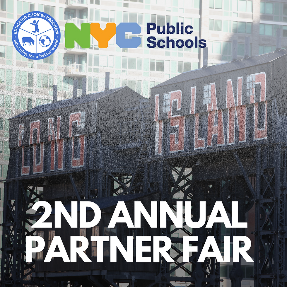The Educated Choices Program Attends the 2nd Annual Partner Fair Hosted by NYC Public Schools