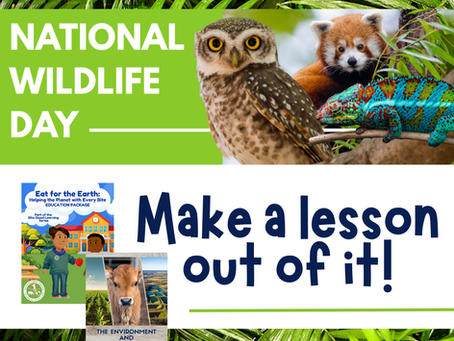 National Wildlife Day banner with owl, red panda, and chameleon. Text: "September 4th is National Wildlife Day. Make a lesson out of it!"