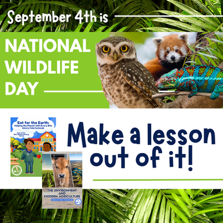National Wildlife Day banner with owl, red panda, and chameleon. Text: "September 4th is National Wildlife Day. Make a lesson out of it!"