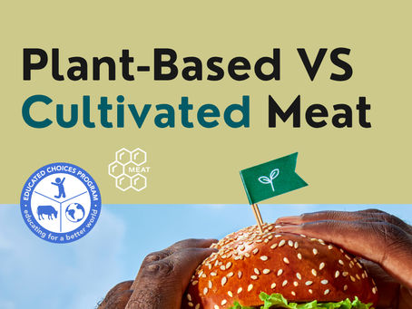 The Difference Between Plant-Based Meat and Cultivated Meat