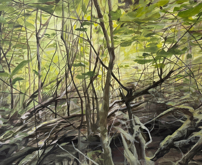 Entangled Branches_Acrylic on Canvas_24 x 30 inches_2025.JPEG