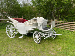 Foto 10.05.22, 17 14 08.jpg