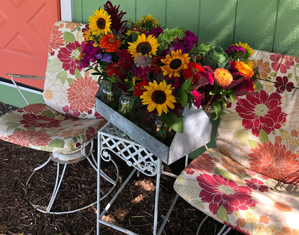 Thumbnail: Flower CSA ( options  available May- October 2026)