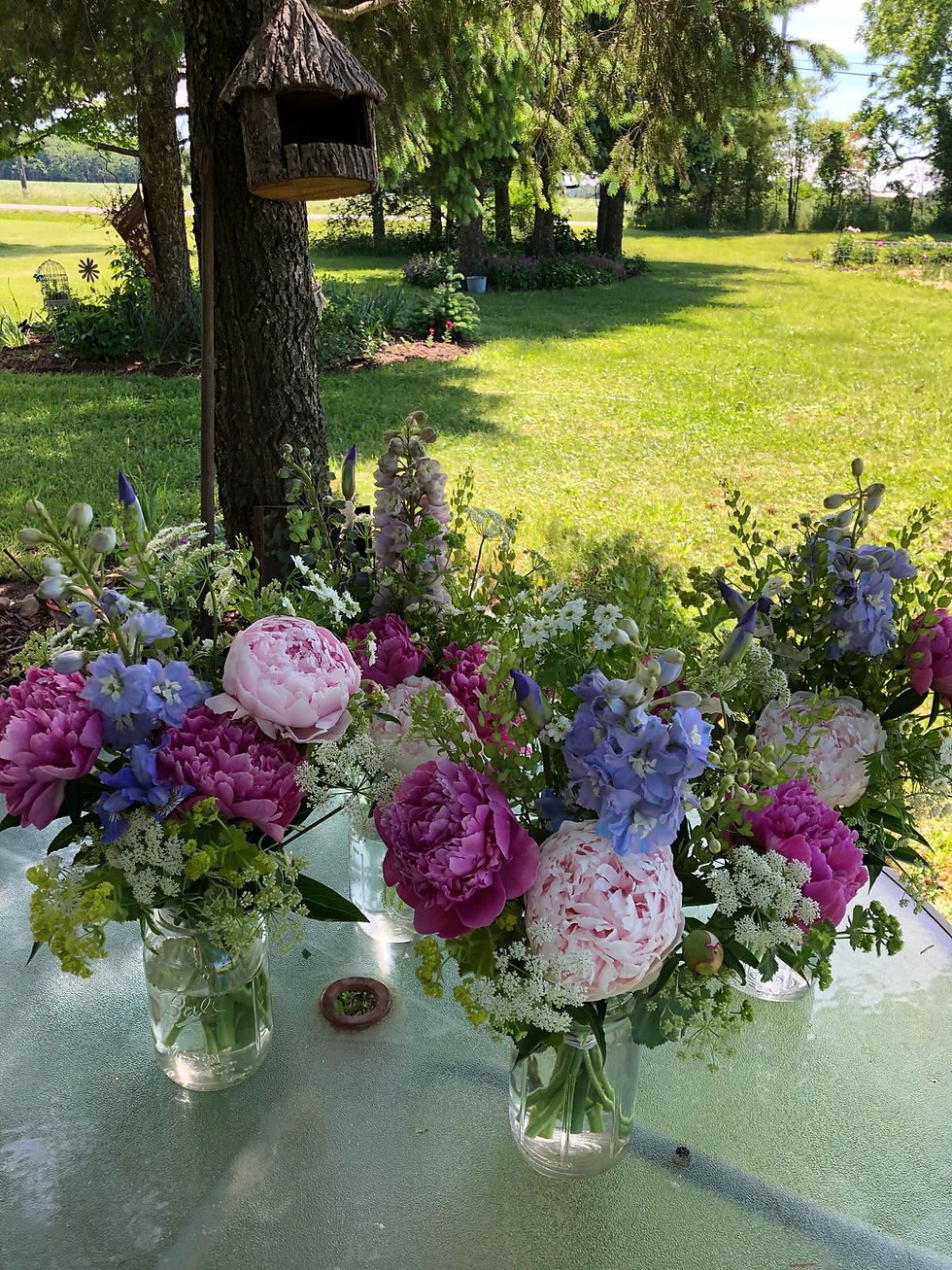 12 Months of Flowers 2025