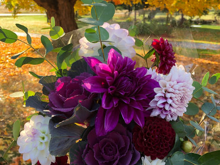 The end of 1 season....and the beginning of another....