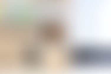 直営店事業部 ゼネラルマネージャー 風藤 舞（ふうとう・まい）さん_2024年中途入社