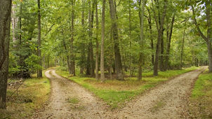Energies In Our Decisions