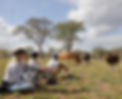 GA3A0998_edited.jpg