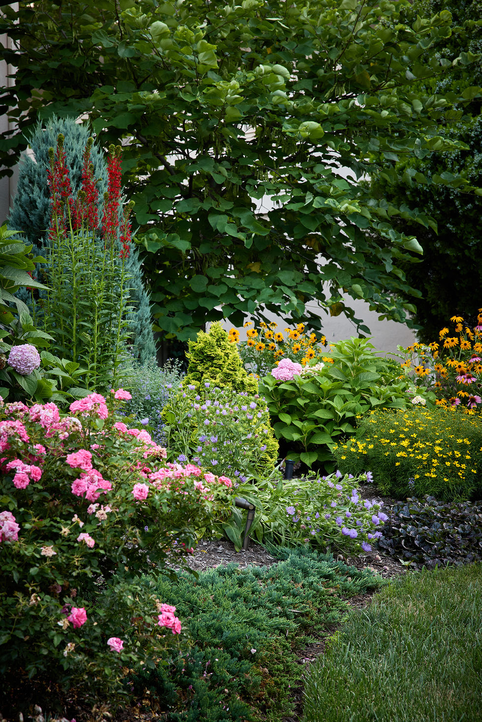 Colorful front yard garden