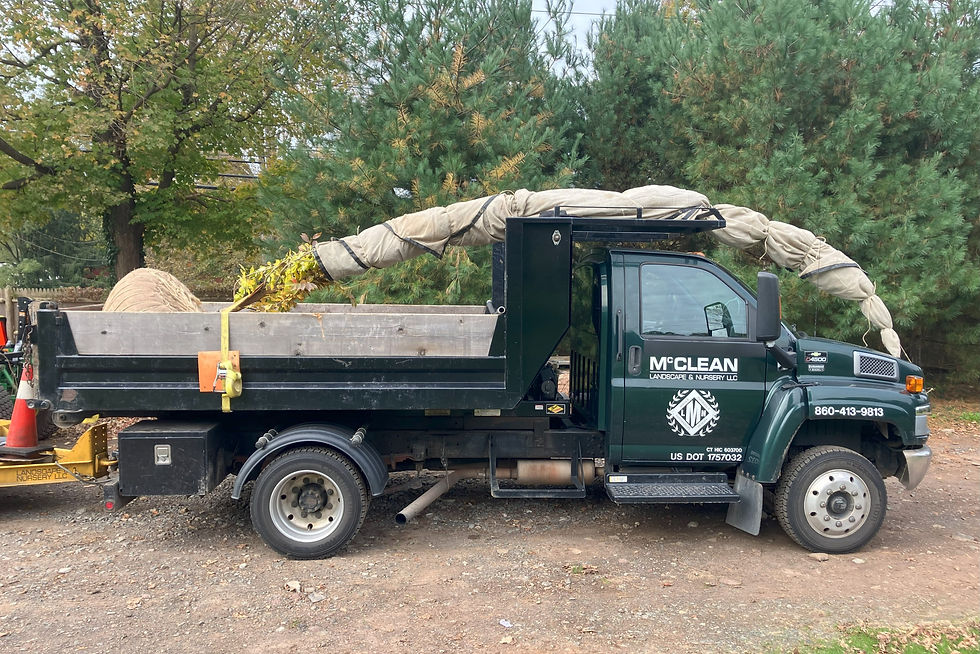 McClean Nursery_edited.jpg