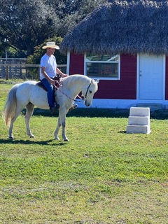 Equestrian Life South Florida