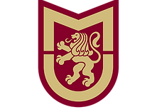 Molloy_Universisty_Logo-Transparent_400x400.png