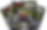 aug-21.2.png