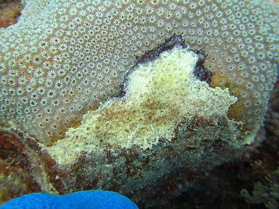 IMG_2550.jpg