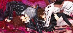 Vampire Knight - Tente não perder o fôlego!