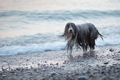 plage_HD.jpg