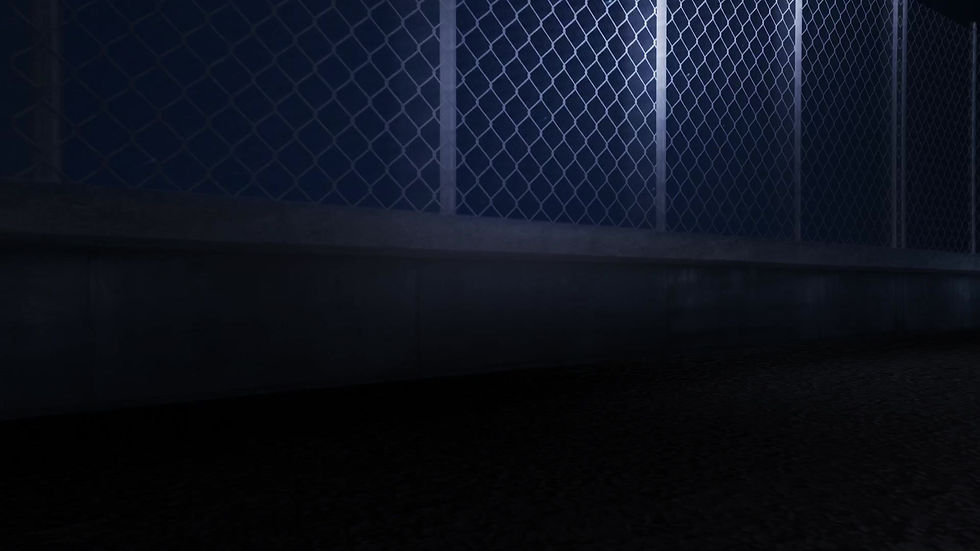 HOME All Shine Valet