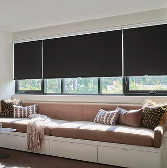 Hunter Douglas Blackout Roller Shades with LiteRise